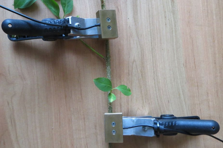 菠菜担保网·(中国区)官方网站