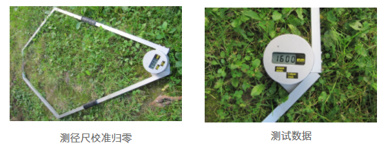 菠菜担保网·(中国区)官方网站