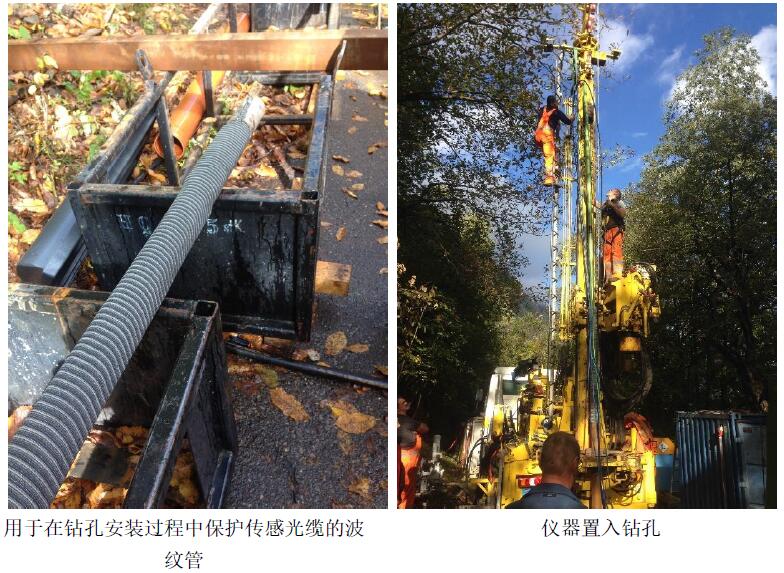 菠菜担保网·(中国区)官方网站