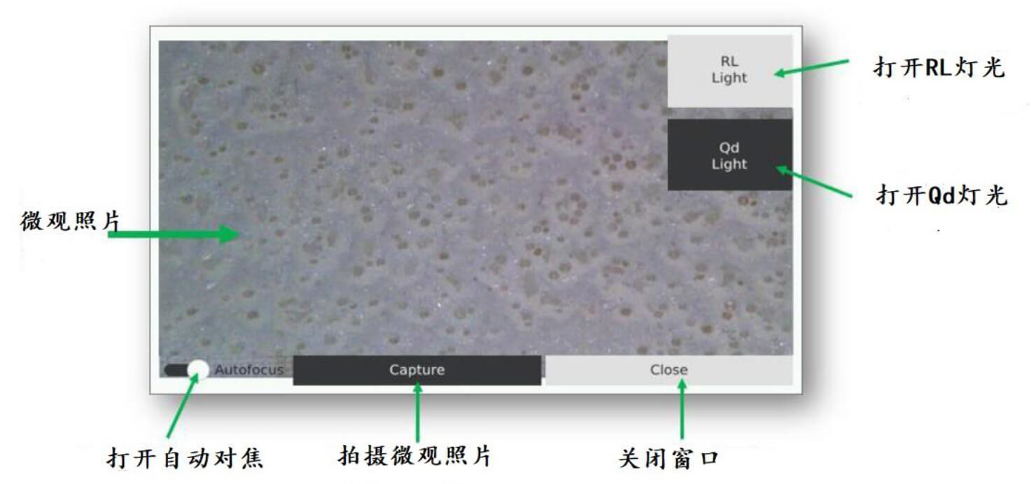 菠菜担保网·(中国区)官方网站