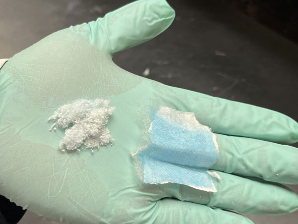 菠菜担保网·(中国区)官方网站