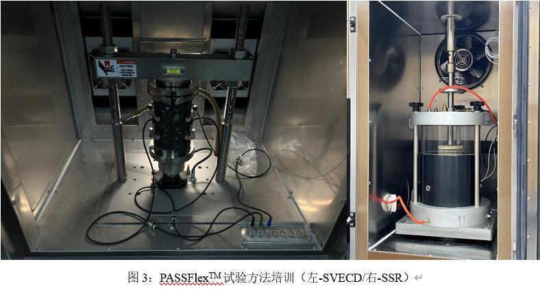 菠菜担保网·(中国区)官方网站