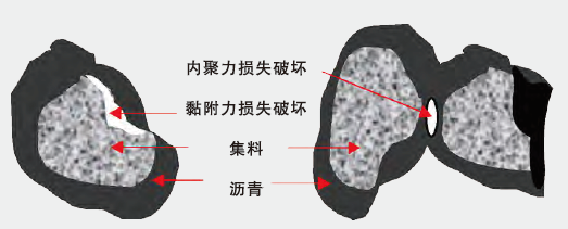 菠菜担保网·(中国区)官方网站