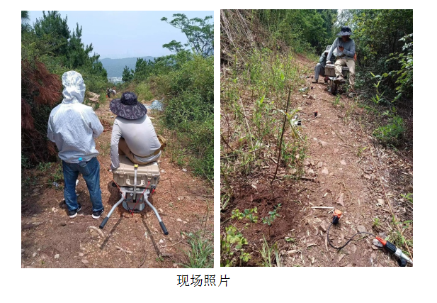 菠菜担保网·(中国区)官方网站