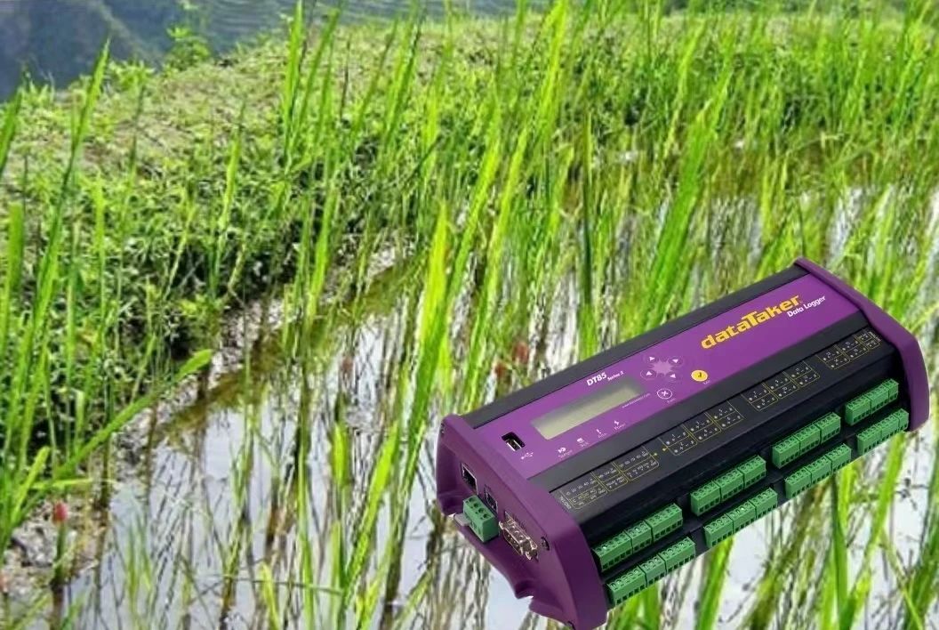 菠菜担保网·(中国区)官方网站