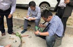 菠菜担保网·(中国区)官方网站