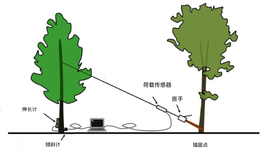 菠菜担保网·(中国区)官方网站