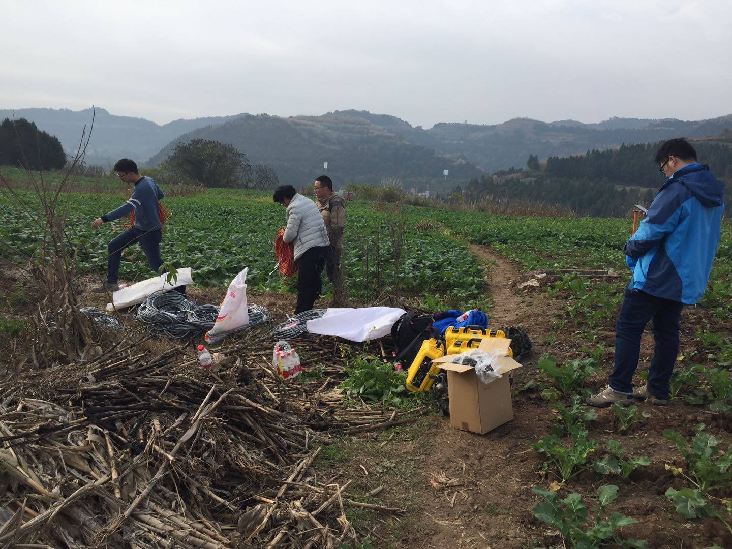 菠菜担保网·(中国区)官方网站