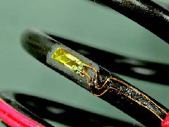 菠菜担保网·(中国区)官方网站